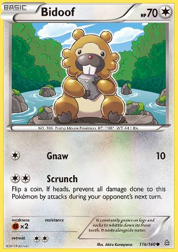 Bidoof (#116/160) Bidoof (#116/160)