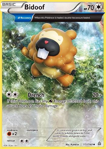 Bidoof (#117/160) Bidoof (#117/160)