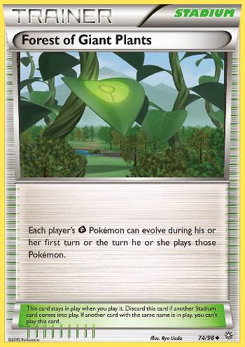 Floresta das Plantas Gigantes / Forest of Giant Plants Floresta das Plantas Gigantes / Forest of Giant Plants